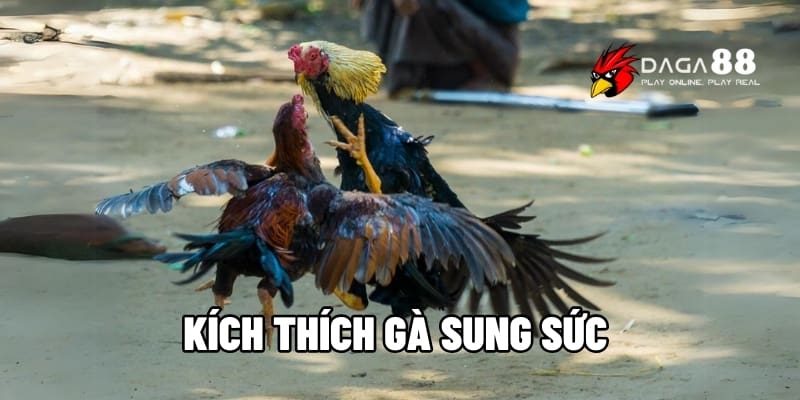 Kích Thích Gà Sung Sức – Tăng Độ Hăng Máu Trận Đấu Đỉnh Cao Cùng DAGA88 1 Kích thích gà sung sức