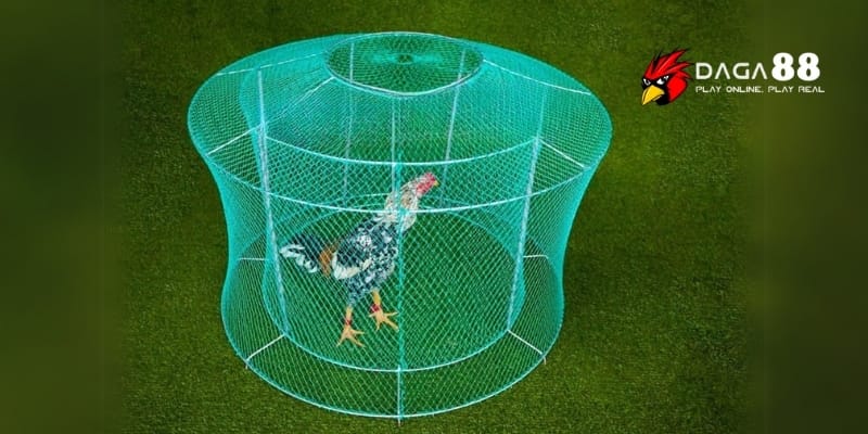 Tập Chạy Lồng – Bí Quyết Tăng Thể Lực Và Sức Bền Chiến Kê Tại DAGA88 3 Tập chạy lồng giúp tăng thể lực phản xạ và giữ phong độ đỉnh cao