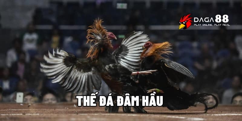 Thế Đá Đâm Hầu – Bí Quyết Đánh Bại Đối Thủ Trong Tích Tắc Tại DAGA88 1 Thế đá đâm hầu